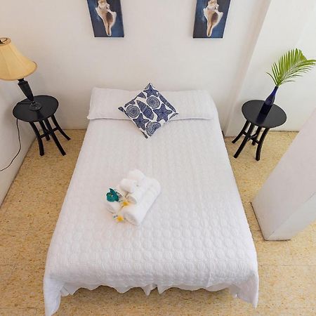 Vieques Tropical Guest House ภายนอก รูปภาพ
