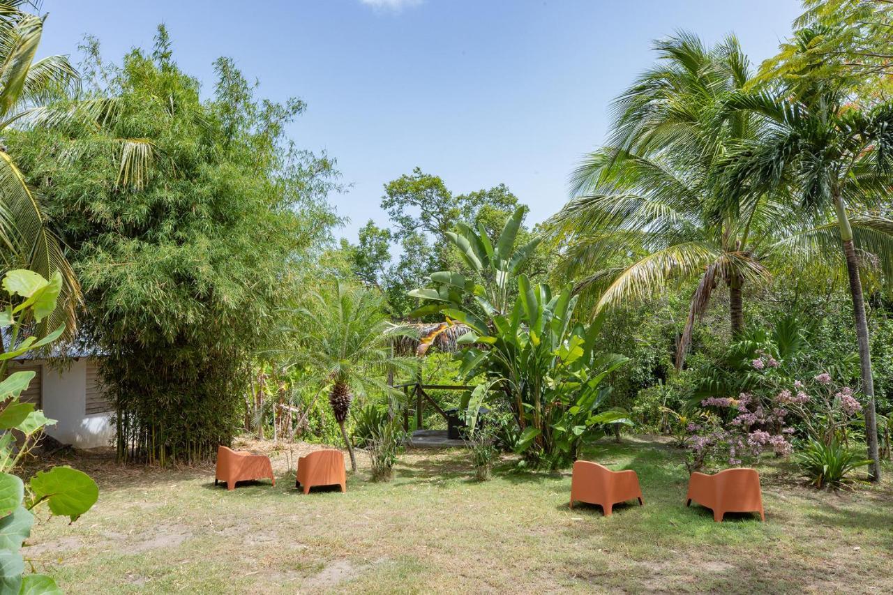 Vieques Tropical Guest House ภายนอก รูปภาพ